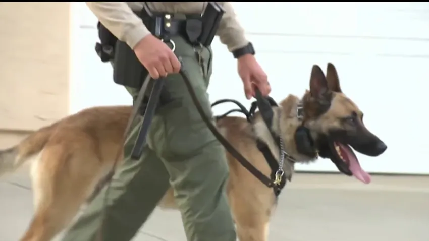 Still-missing Poway teen had ghost-gun assault rifle, body armor: Deputies